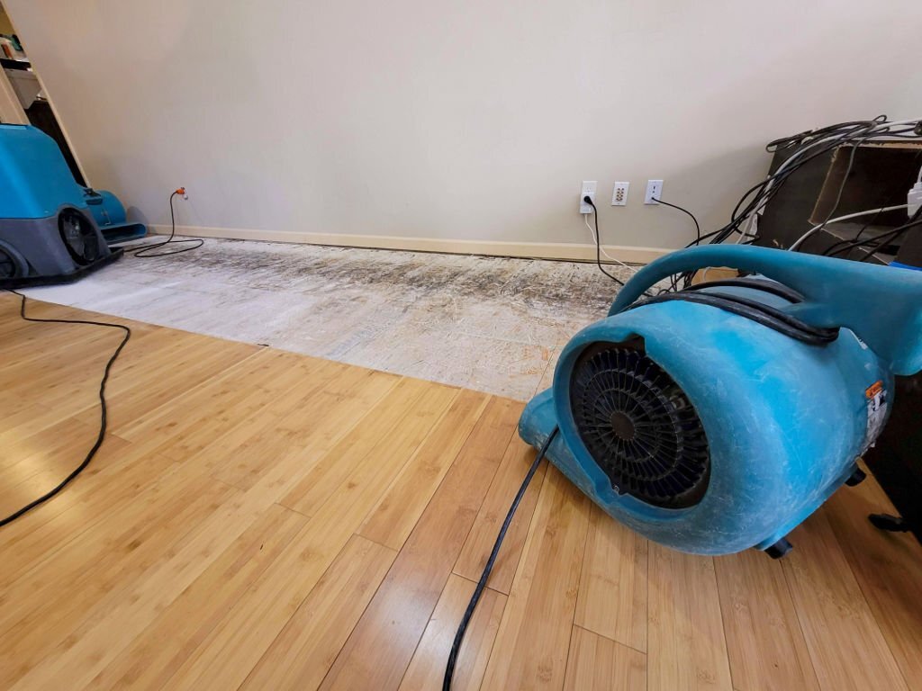 Royal Restoration — restoration services in Santa Barbara, CA